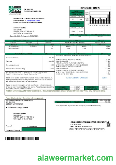 USA Coles - Moultrie business utility bill template in Word and PDF formats
